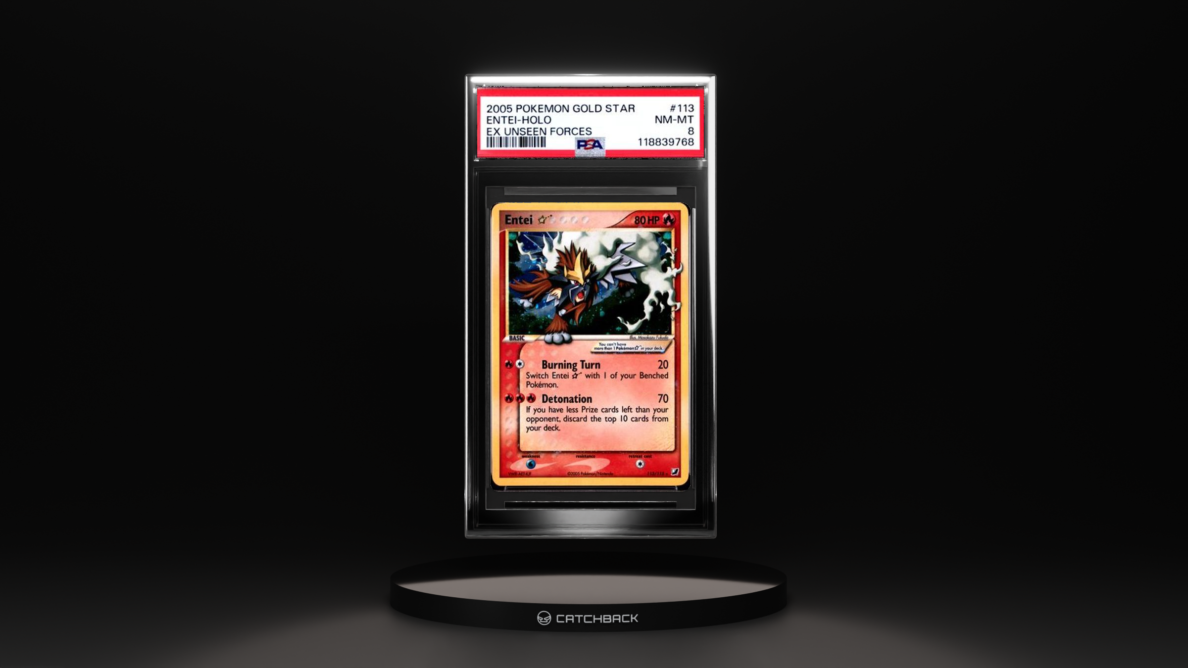 Entei-holo Ex Unseen Forces
