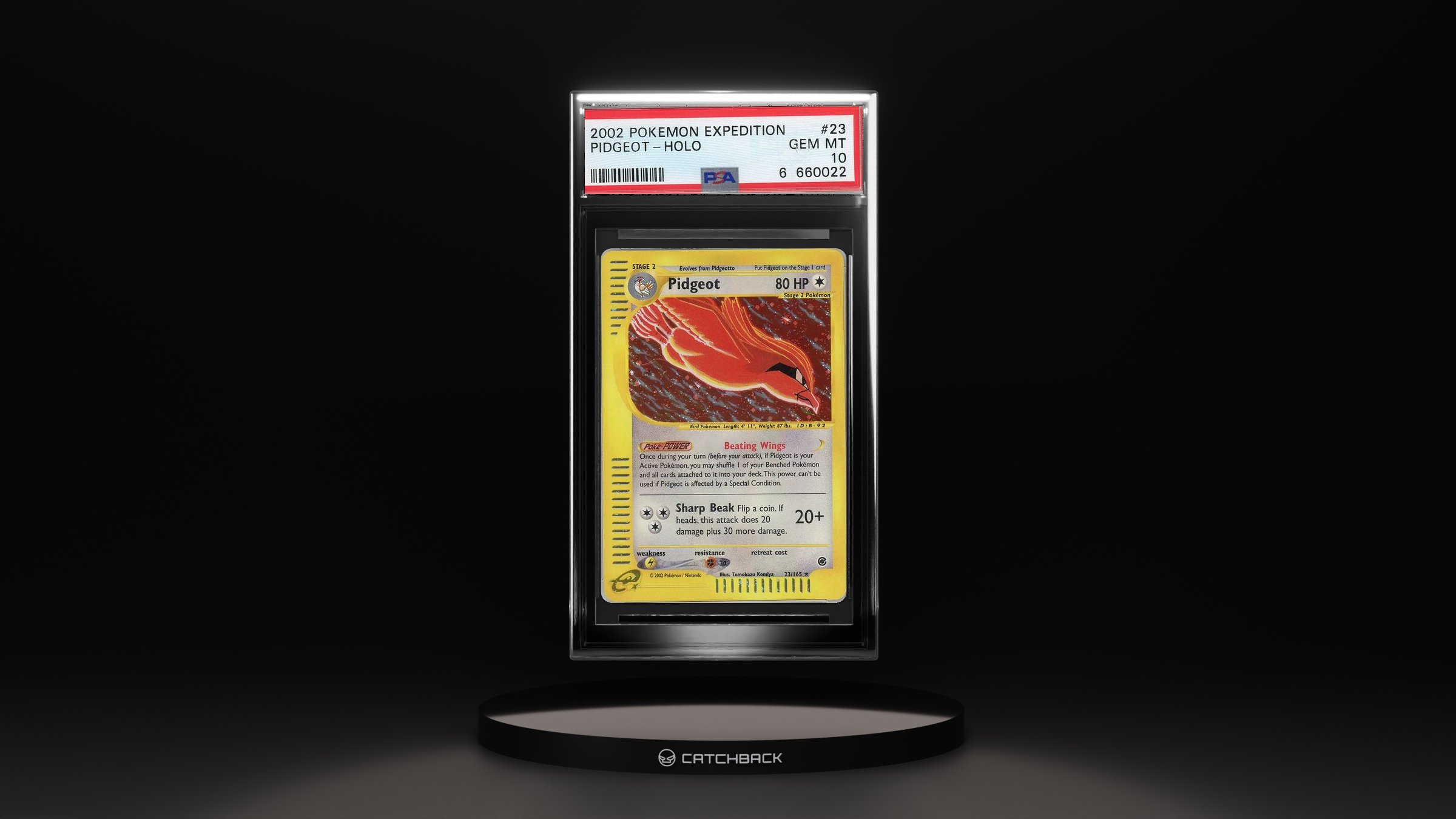 Pidgeot-holo