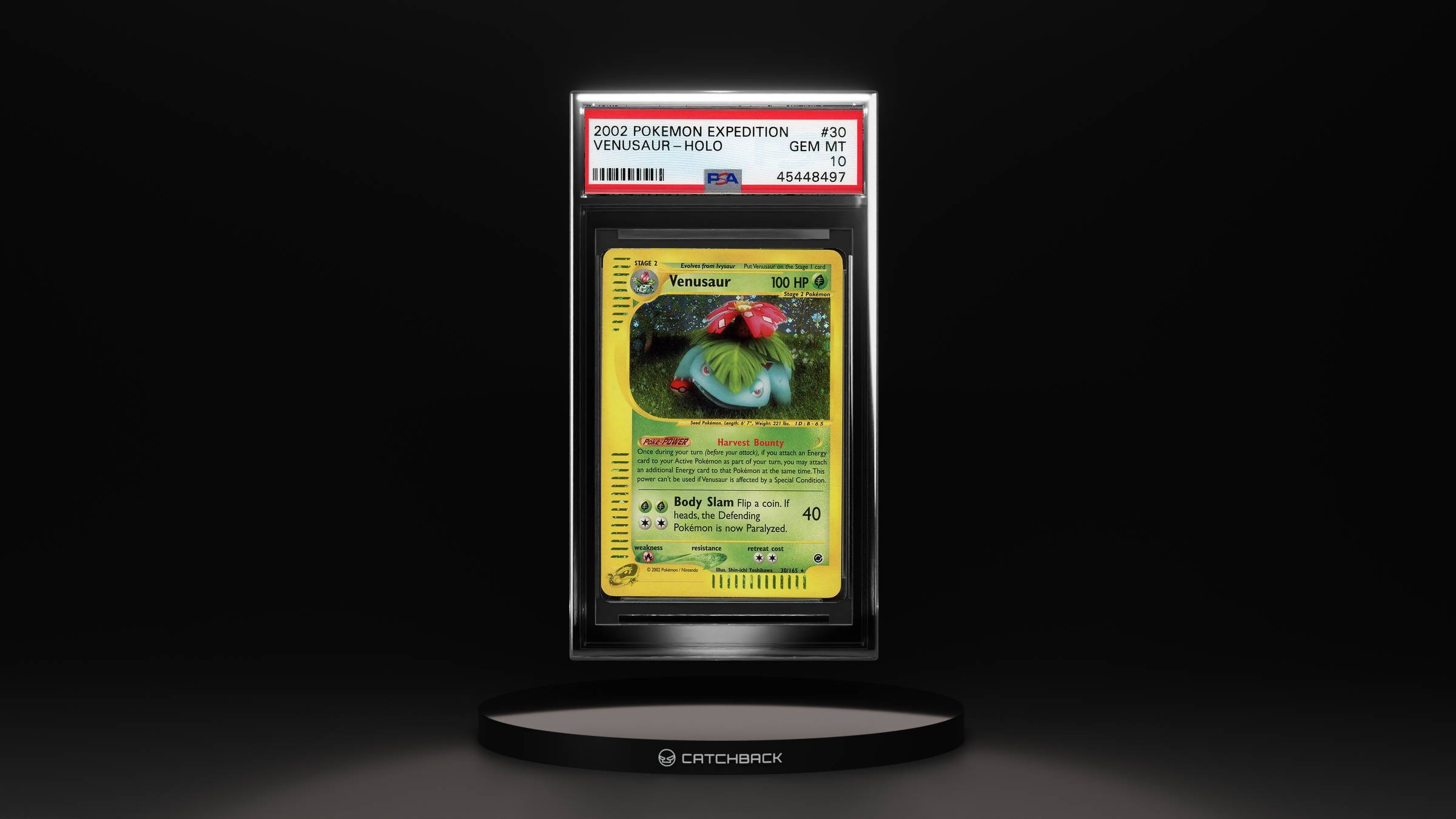 Venusaur-holo