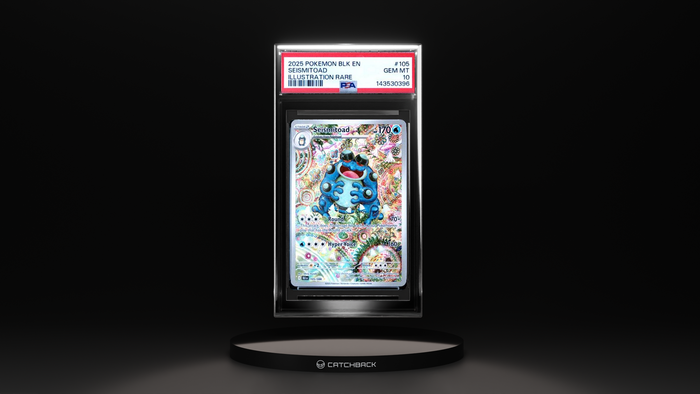 Seismitoad Illustration Rare